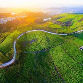Tiến Đạt Tourist 