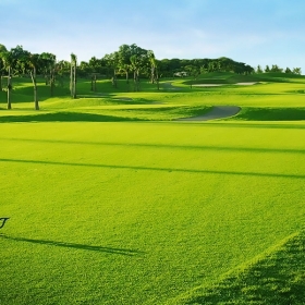 Twin Doves Golf Club