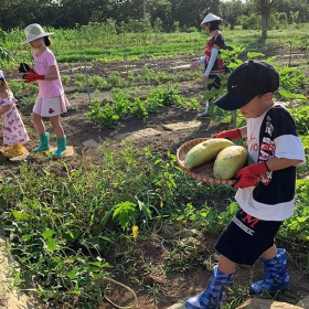 ORCHARD NAM CAT TIEN RESORT