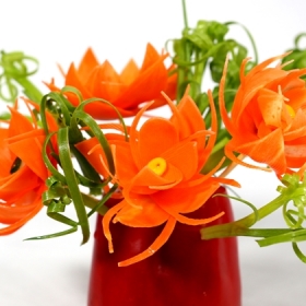 Trung tâm Đào tạo nghề Worldlink