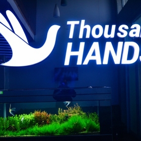 Thousand Hands