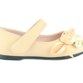 Công ty cổ phần thương mại Ban Mai Xanh