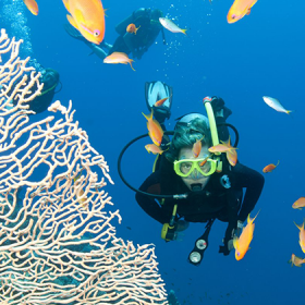 Việt Asian Nha Trang 