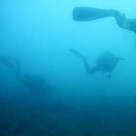 Rumblefish Việt Nam