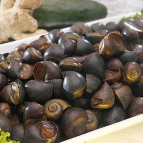 Buffet Lẩu Hội Quán