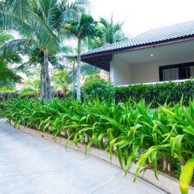 The Cliff Resort & Residences