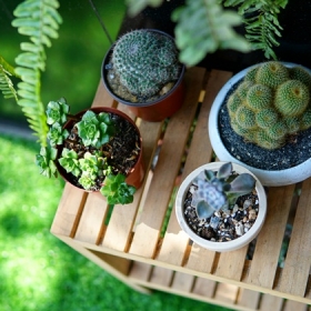 Hera Spa - Đà Nẵng