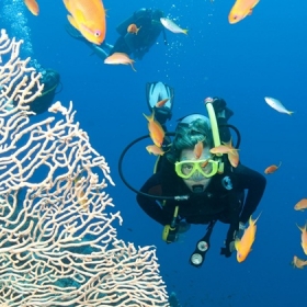 Du lịch Biển Nha Trang