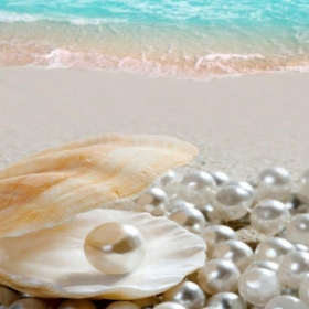 Viet Nam Travel Since 2000