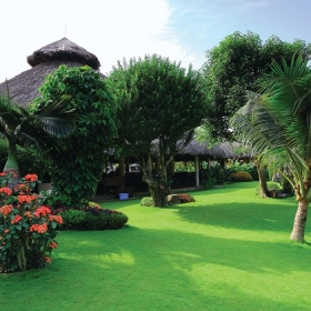 Phúc Thịnh Travel