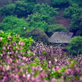 Du lịch Việt Hưng