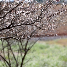 Du lịch Việt Hưng