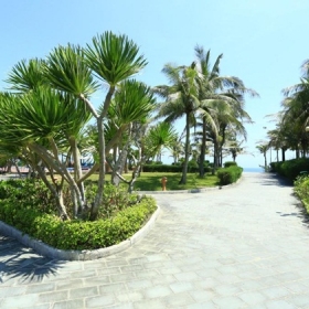 Tropical Beach Hoi An Resort