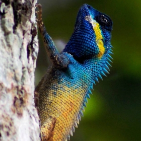 ORCHARD NAM CAT TIEN RESORT