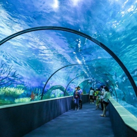 Vinpearl Land Aquarium