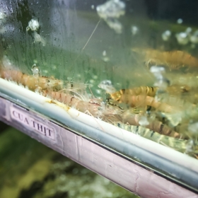 Nhà hàng Sinh Hải Sản