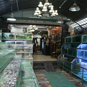 Kiên Hương Rừng