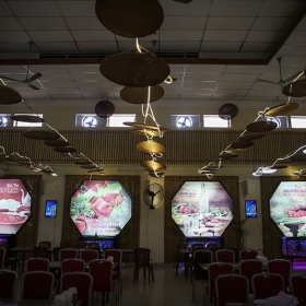 Bò tơ Nguyên Sánh