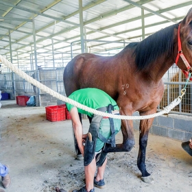 ORCHARD NAM CAT TIEN RESORT