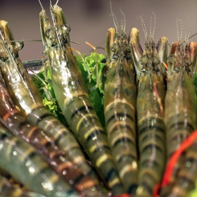 Lẩu Hơi Cosmos - Set Lẩu tổng hợp dành cho 04 người