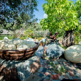 Binh Chau Hot Spring Resort 