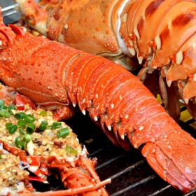 Viet Nam Travel Since 2000