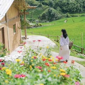 Tour Sapa – Trekking Lao Chải, Giàng Tả Chải, Fansipan 3N2Đ