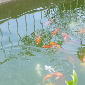 Lữ Tấn Villa Đà Lạt