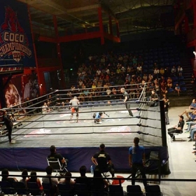 Cocobay Championship Fighter In You