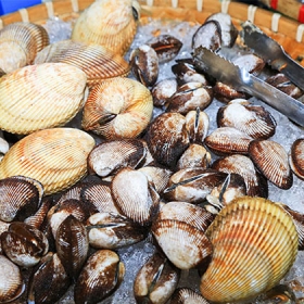 99 Đại Dương Quán 