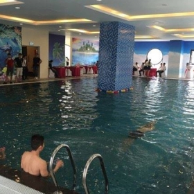 Bể bơi Green Pool