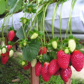 Việt Promotion Travel 