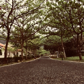 Poulo Condor Boutique Resort & Spa Côn Đảo 