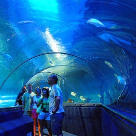 Hiếu Quân Tourist