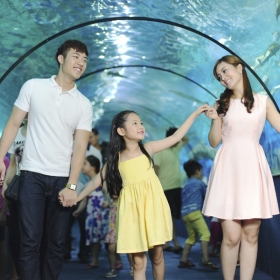 VinKE & Aquarium Times City