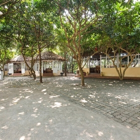 Nhà hàng Tre Bãi Đá