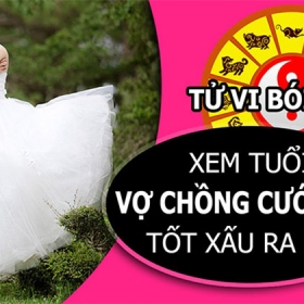 Học viện Đào tạo Phong thủy sư Nam Việt