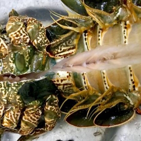 Nhà hàng hải sản Trường Peter