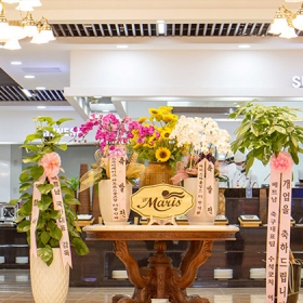 D'Maris Tây Mỗ Hà Nội