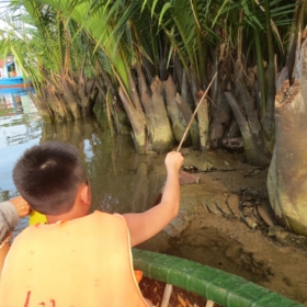 KDL RỪNG DỪA BẢY MẪU