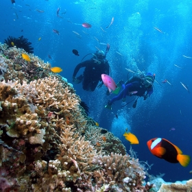Red river Phú Quốc