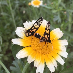 Trải nghiệm sông Hồng