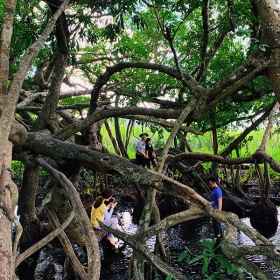 ORCHARD NAM CAT TIEN RESORT