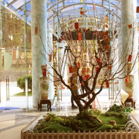 DRAGON KING HOTEL DALAT