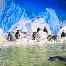 Vinpearl Land Aquarium
