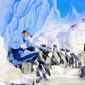 Vinpearl Land Aquarium