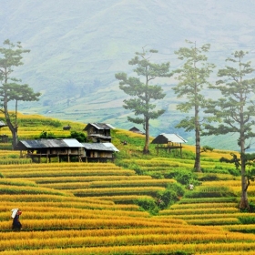 Go Viet Nam Travel.Asia