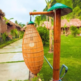 Tam Coc Rice Field Resort - Ninh Binh