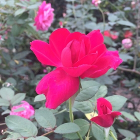 Trải nghiệm sông Hồng