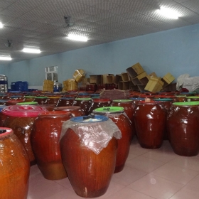 Hằng Lực Tourist